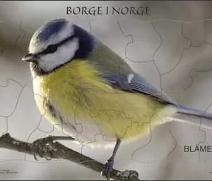 Puslespill – Blåmeis 25 brikker – Norske dyr