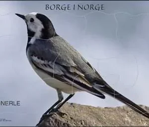 Puslespill – Linerle 10 brikker – Norske dyr