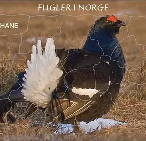 Puslespill – Orrhane 20 brikker – Norske dyr
