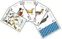 Vannfugl – Water Birds – Kortstokk med motiv av vannfugler - Image 2