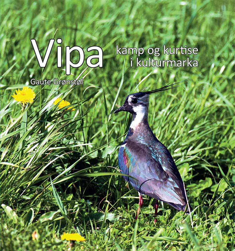 Vipa - Image 2