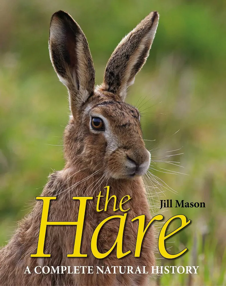 The Hare - Image 2