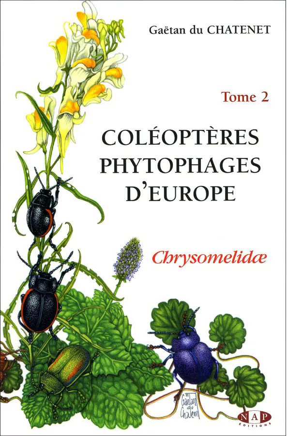 Coleopteres Phytophages d’Europe - Image 2