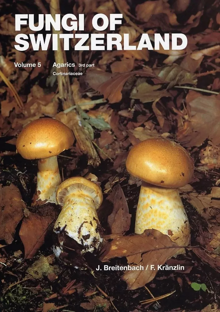 Fungi of Switzerland vol.5. - Image 2