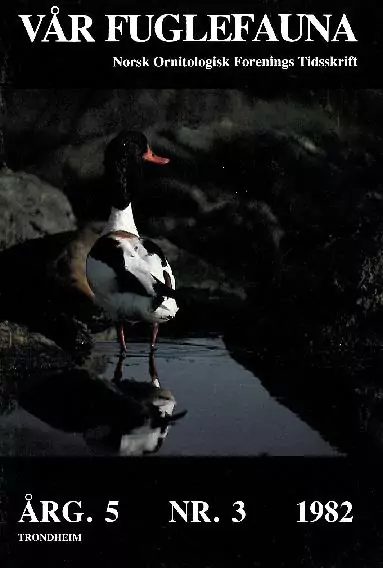 Vår Fuglefauna – 1982-3, årgang 5
