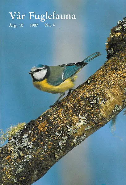 Vår Fuglefauna – 1987-4, årgang 10 - Image 2