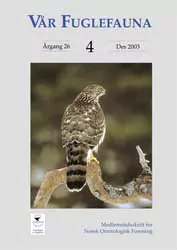 Vår Fuglefauna – 2003-4, årgang 26