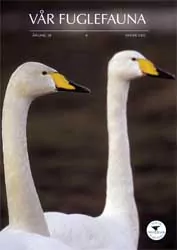 Vår Fuglefauna – 2005-4, årgang 28 - Image 2