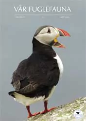 Vår Fuglefauna – 2006-3, årgang 29