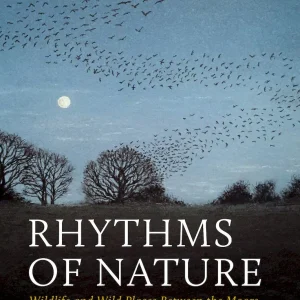Rhythms of Nature