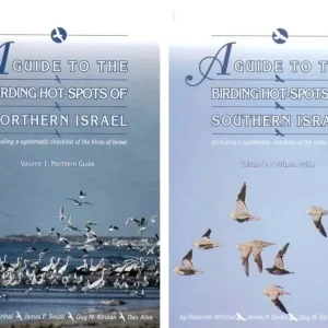 A Guide to the Birding Hotspots of Israel