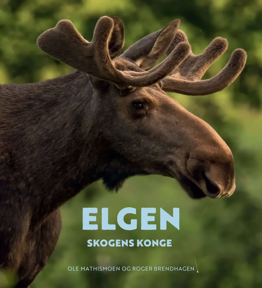 Elgen - Image 2