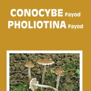 Fungi Europaei Vol. 11