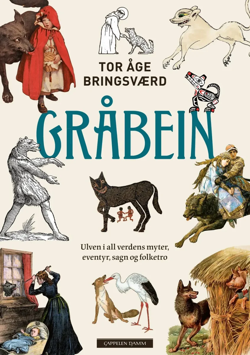 Gråbein - Image 2