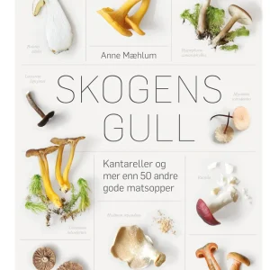 Skogens gull